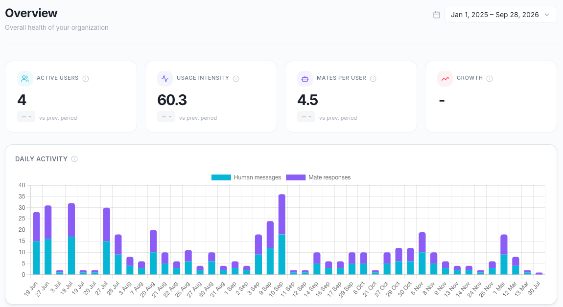Overview page with the KPI cards and the Daily activity chart