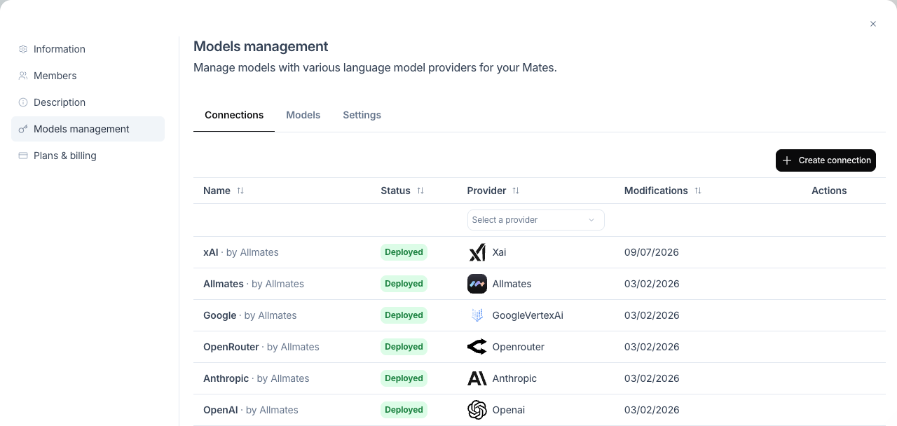 Models management tab with the Connections, Models and Settings sub-tabs